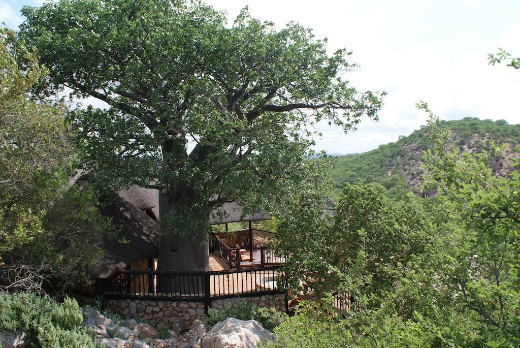 Adansonia Eco Lodge Musina Extérieur photo