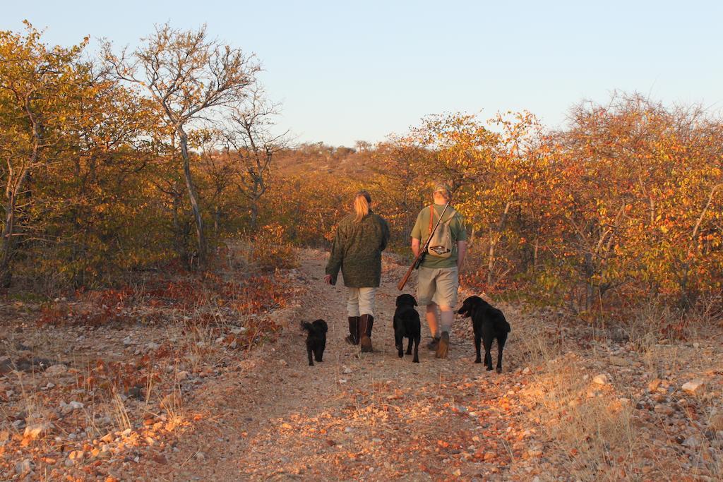 Adansonia Eco Lodge Musina Extérieur photo
